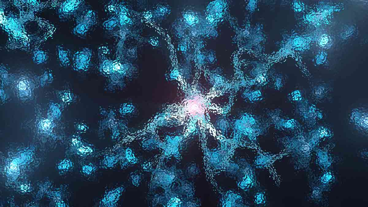 Brain Basics: The Life and Death of a Neuron