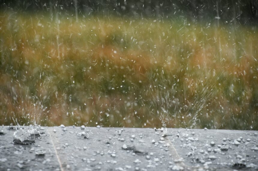 Hailstones aka hail splashing in rain water during a hailstorm - spring weather storm concept