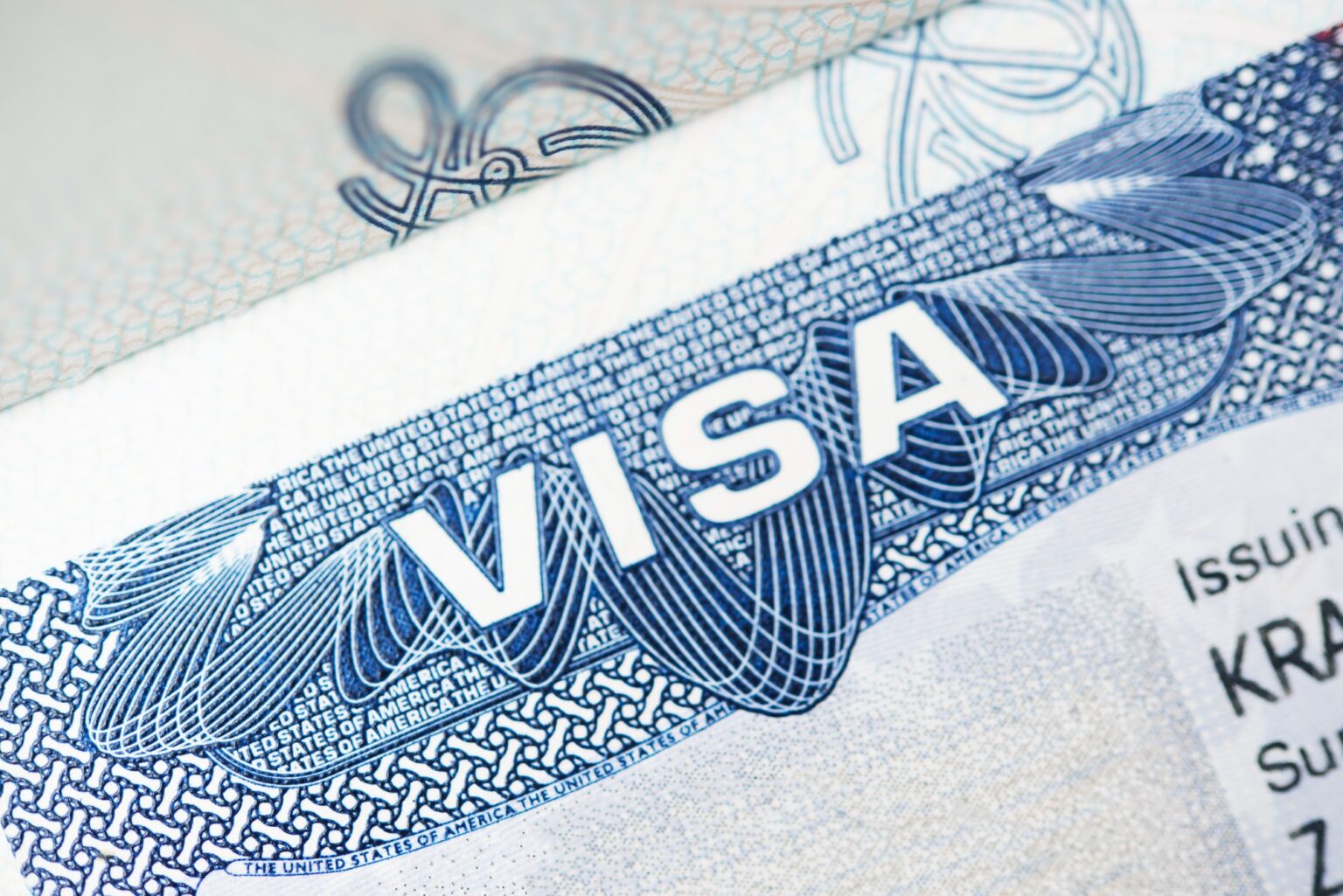 Visa mistakes