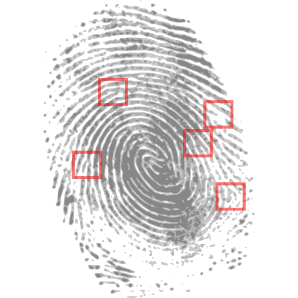 forensic DNA analysis