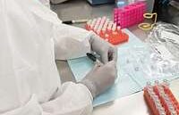 Forensic odontology, forensic dental database