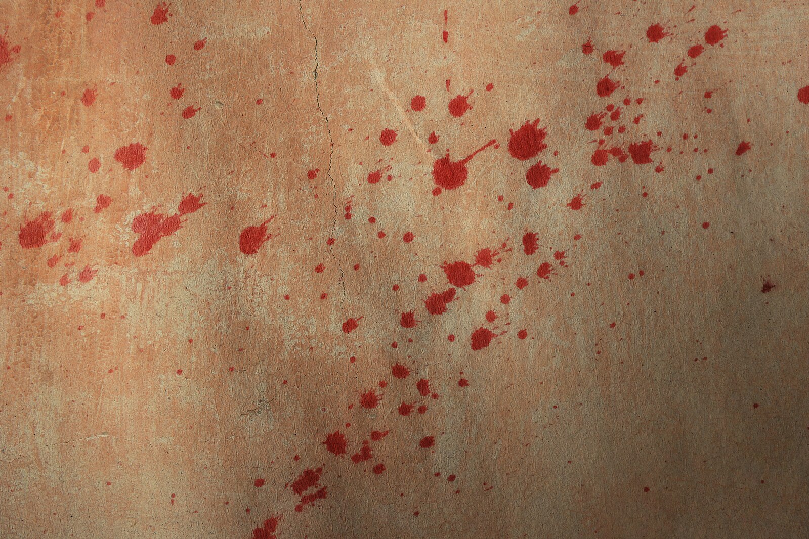 Bloodstain Pattern Analysis