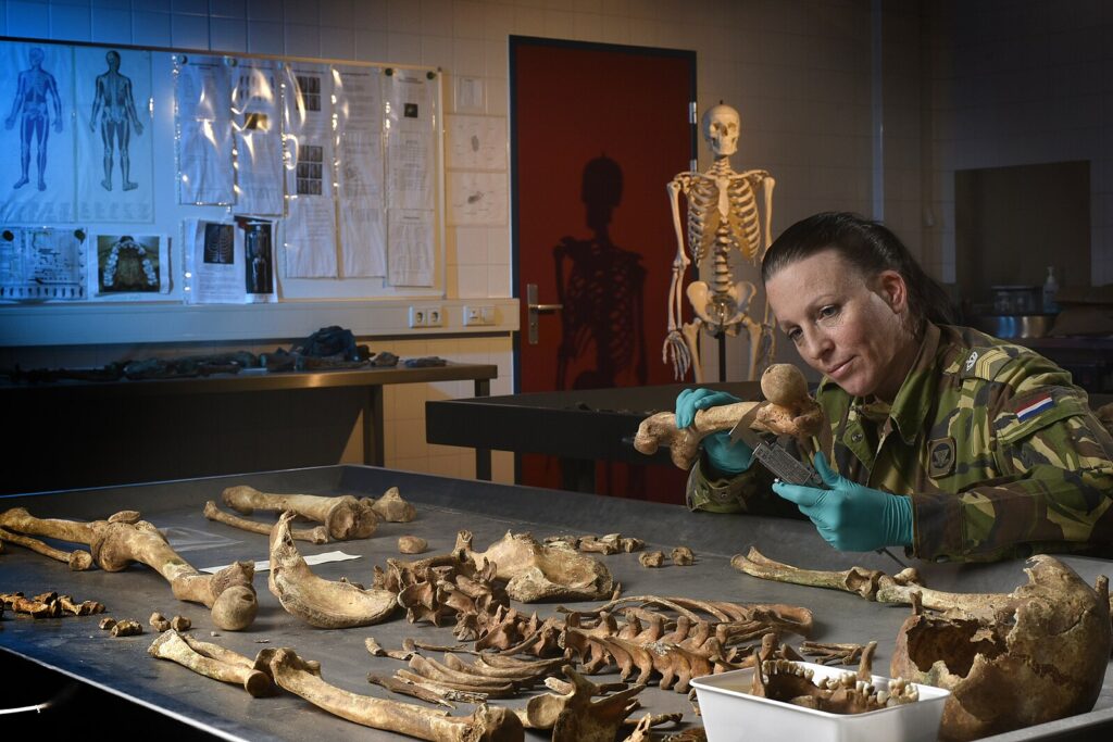 forensic anthropology