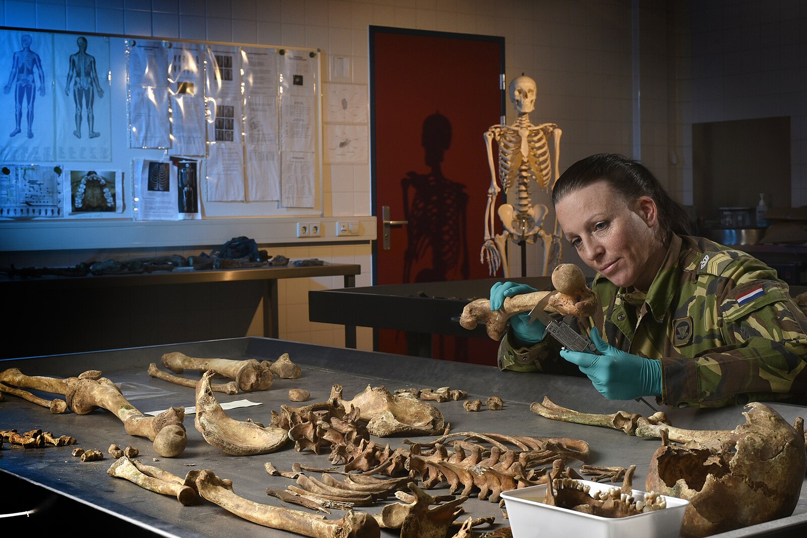 The role of Forensic Anthropology in Mass Disaster Victim Identification