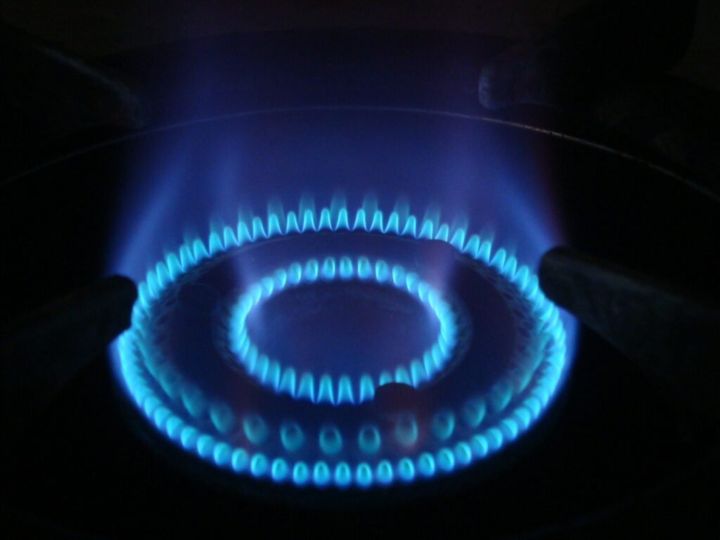 LPG, Delhi